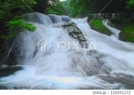 新緑の四十三万滝（菊池渓谷・菊池市） 120201172