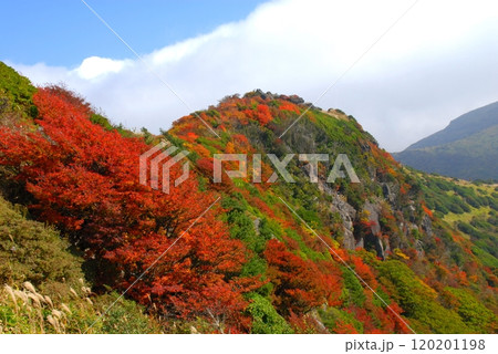 秋の沓掛山(くじゅう連山・大分県九重町) 秋の沓掛山(くじゅう連山・大分県九重町) 120201198