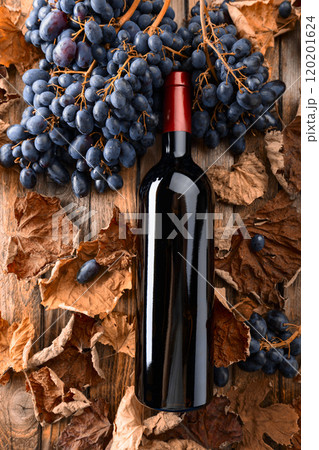 Bottle of red wine and blue grapes. Bottle of red wine and blue grapes. 120201624