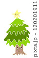 もみの木のクリスマスツリー 120201911