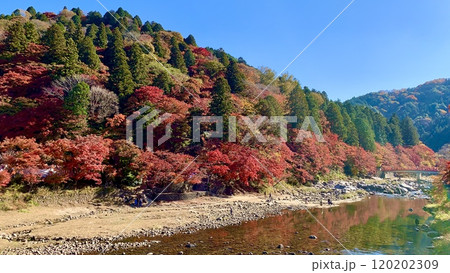 秋晴れの青空に映える飯盛山の紅葉と巴川　〈香嵐渓/愛知県豊田市足助町〉 120202309