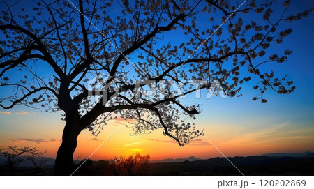 Blossoming tree at sunset. Generative AI 120202869