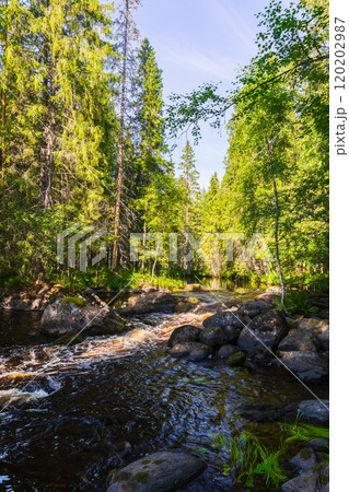 Karelian landscape, vertical photography with cascade waterfall Karelian landscape, vertical photography with cascade waterfall 120202987