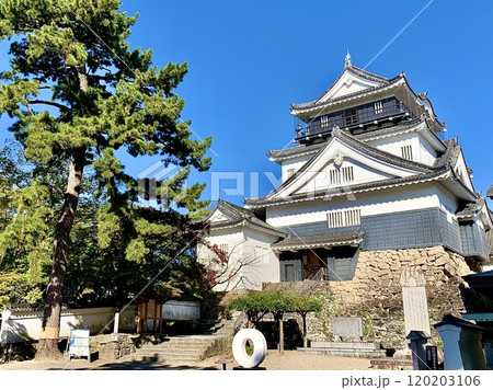 秋晴れの青空に映える岡崎城天守閣〈岡崎城公園/愛知県岡崎市〉 秋晴れの青空に映える岡崎城天守閣〈岡崎城公園/愛知県岡崎市〉 120203106