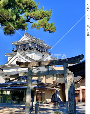 龍城神社の鳥居越しに見上げる青空の岡崎城天守閣〈岡崎城公園/愛知県岡崎市〉 龍城神社の鳥居越しに見上げる青空の岡崎城天守閣〈岡崎城公園/愛知県岡崎市〉 120203107