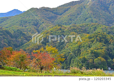 秋の信州　青木湖の紅葉 120203345