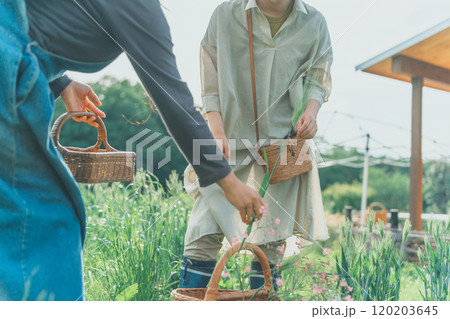 花摘みアクティビティー 花摘みアクティビティー 120203645