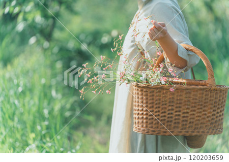 花摘み 120203659