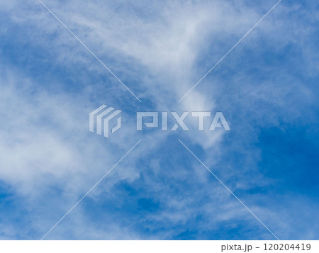 11月の青空と薄雲09 120204419