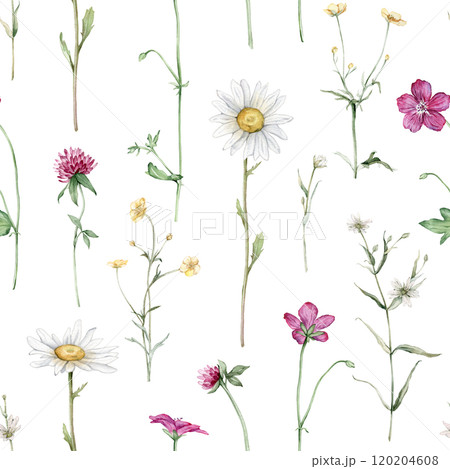 Watercolor floral seamless pattern with summer meadow flowers in botanical rustic style. Hand drawn print with buttercup, clover, chamomile, geranium. Repeat wallpaper with leaves and plants 120204608
