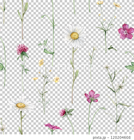 Watercolor floral seamless pattern with summer meadow flowers in botanical rustic style. Hand drawn print with buttercup, clover, chamomile, geranium. Repeat wallpaper with leaves and plants 120204608