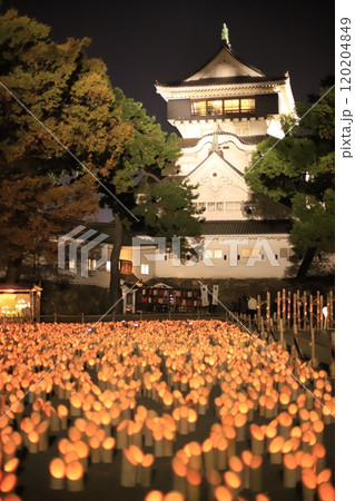 ライトアップされたお城と竹あかり 120204849