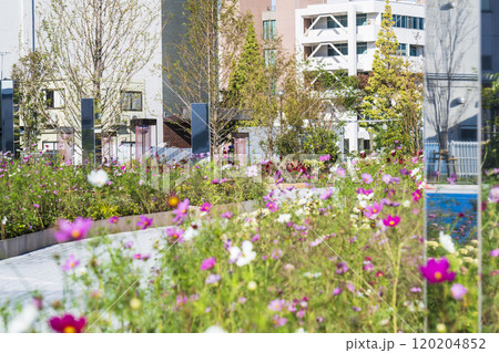川崎の都市景観 秋の富士見公園の風景【神奈川県・川崎市】 川崎の都市景観 秋の富士見公園の風景【神奈川県・川崎市】 120204852