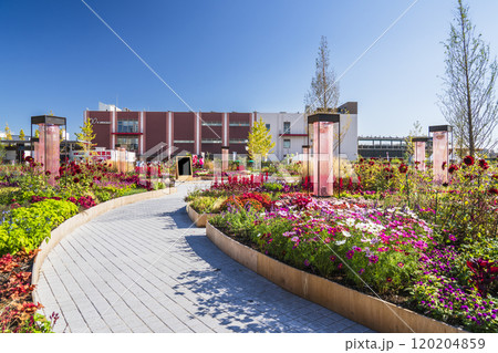 川崎の都市景観 富士見公園・メインガーデンの風景【神奈川県・川崎市】 川崎の都市景観 富士見公園・メインガーデンの風景【神奈川県・川崎市】 120204859