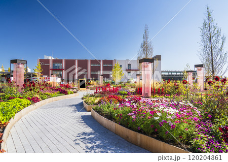 川崎の都市景観　富士見公園・メインガーデンの風景【神奈川県・川崎市】 120204861