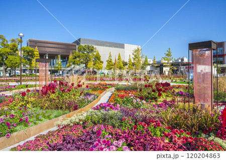 川崎の都市景観　富士見公園・メインガーデンの風景【神奈川県・川崎市】 120204863