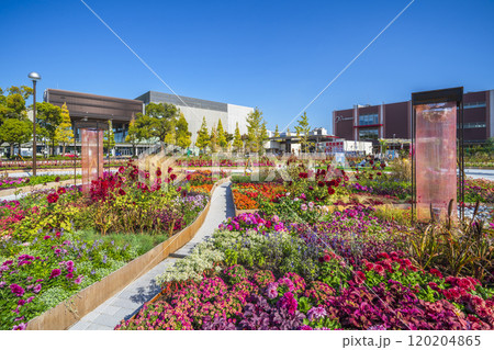 川崎の都市景観　富士見公園・メインガーデンの風景【神奈川県・川崎市】 120204865