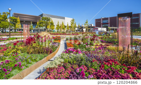 川崎の都市景観　富士見公園・メインガーデンの風景【神奈川県・川崎市】 120204866
