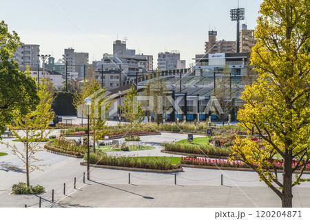 川崎の都市景観　富士見公園の風景【神奈川県・川崎市】 120204871