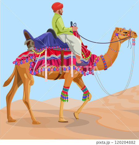 Decorated Camel  and Camel Rider 120204882