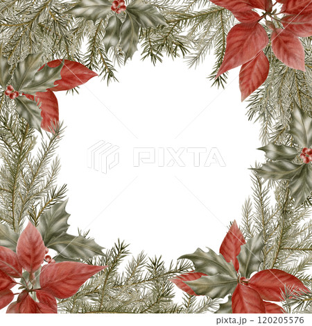 Vintage Christmas square frame of poinsettia and spruce branches with holly and berries as a symbol of holiday,miracle.Watercolor template on white background for cards,invitations, greetings Vintage Christmas square frame of poinsettia and spruce branches with holly and berries as a symbol of holiday,miracle.Watercolor template on white background for cards,invitations, greetings 120205576
