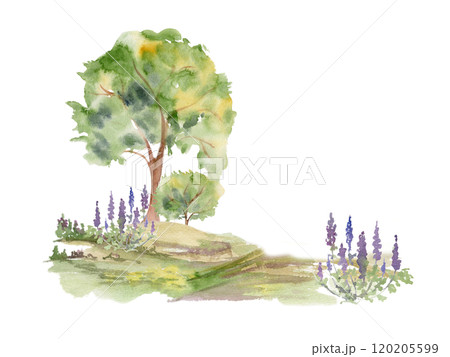 Scenery landscape of lush green foliage tree, northern forest meadow grassland with bushes lupin flowers, watercolor hand drawn. Illustration for tourism, resort ads, hiking camping sites, vacation. 120205599