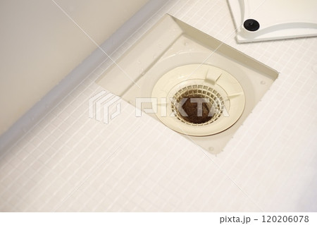 排水口の抜け毛 120206078