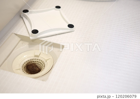 排水口の抜け毛 120206079