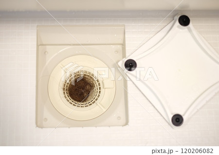 排水口の抜け毛 排水口の抜け毛 120206082