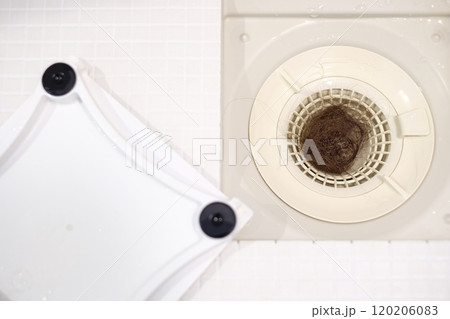 排水口の抜け毛 120206083