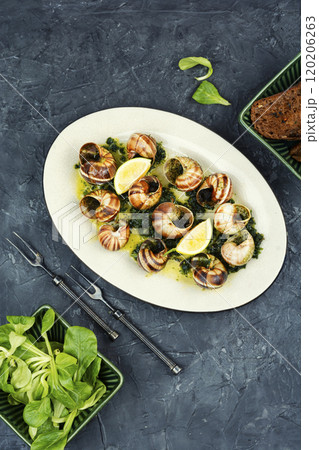 Mediterranean escargot delicacy snails. 120206263