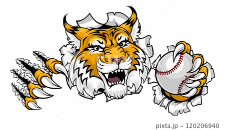 Wildcat Bobcat Baseball Ball Animal Team Mascot Wildcat Bobcat Baseball Ball Animal Team Mascot 120206940