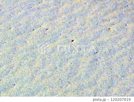 静かな白砂の渚 120207819