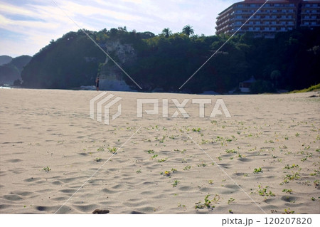 静かな白砂の渚 120207820