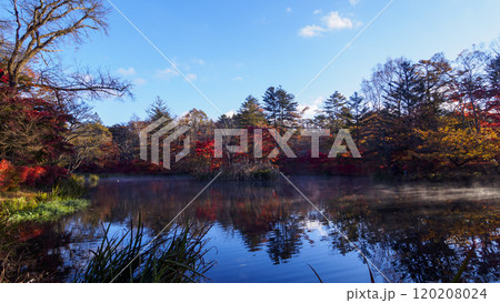 長野県北佐久郡軽井沢町の紅葉の名所の雲場池 長野県北佐久郡軽井沢町の紅葉の名所の雲場池 120208024