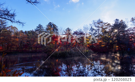 長野県北佐久郡軽井沢町の紅葉の名所の雲場池 長野県北佐久郡軽井沢町の紅葉の名所の雲場池 120208025
