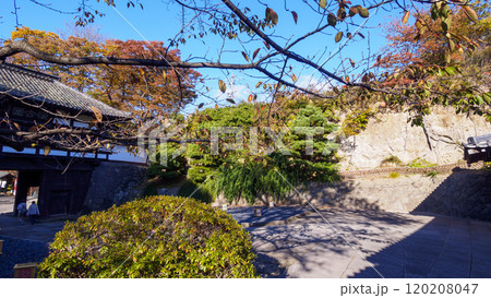 長野県小諸市懐古園の紅葉  長野県小諸市懐古園の紅葉  120208047