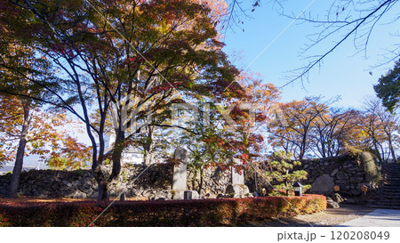 長野県小諸市懐古園の紅葉 長野県小諸市懐古園の紅葉 120208049