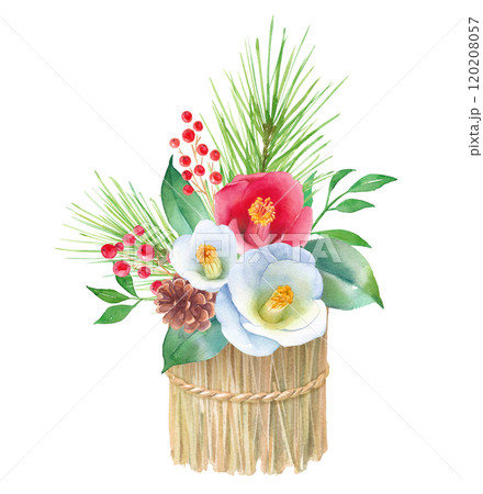 藁をベースにした紅白の椿のアレンジメント。お正月飾りの水彩イラスト。松、ナンテン、椿の花。縁起物。 藁をベースにした紅白の椿のアレンジメント。お正月飾りの水彩イラスト。松、ナンテン、椿の花。縁起物。 120208057