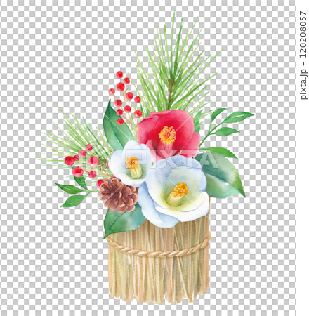 藁をベースにした紅白の椿のアレンジメント。お正月飾りの水彩イラスト。松、ナンテン、椿の花。縁起物。 藁をベースにした紅白の椿のアレンジメント。お正月飾りの水彩イラスト。松、ナンテン、椿の花。縁起物。 120208057