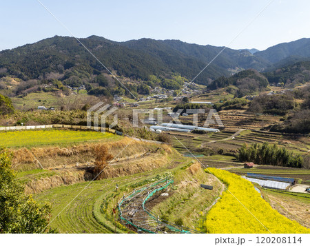 春先の明日香村稲渕棚田の風景 120208114