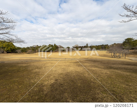 枯れた芝が広がる冬の奈良公園春日野園地 枯れた芝が広がる冬の奈良公園春日野園地 120208171