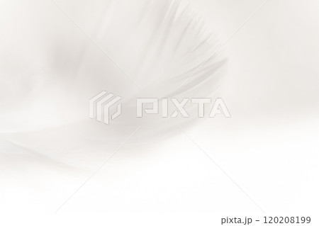 羽根・ふんわり 背景素材 羽根・ふんわり 背景素材 120208199