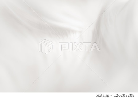 羽根・ふんわり 背景素材 120208209