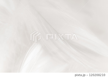 羽根・ふんわり 背景素材 120208210