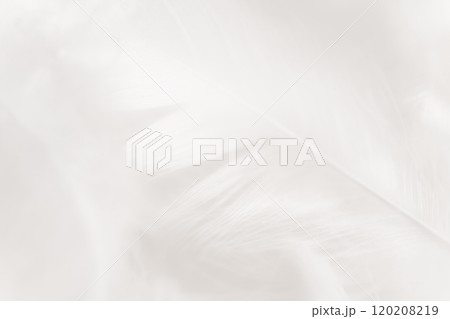 羽根・ふんわり 背景素材 120208219