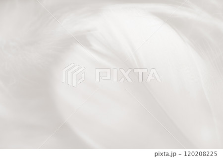 羽根・ふんわり 背景素材 120208225