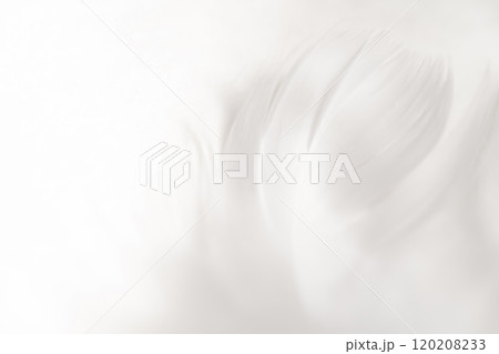 羽根・ふんわり 背景素材 羽根・ふんわり 背景素材 120208233