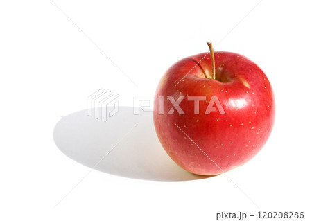 りんご（秋茜） 120208286