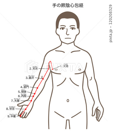 鍼灸の経穴、手の厥陰心包経、ツボのイラスト 120208329